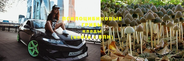 альфа пвп Каменск-Шахтинский